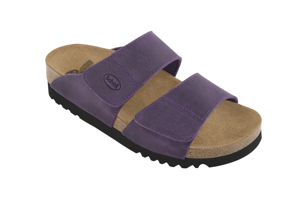 Scholl Aalim Plum