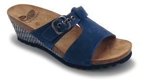 Scholl Kasama Navy